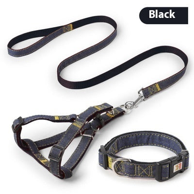 Leash + Collar Combo