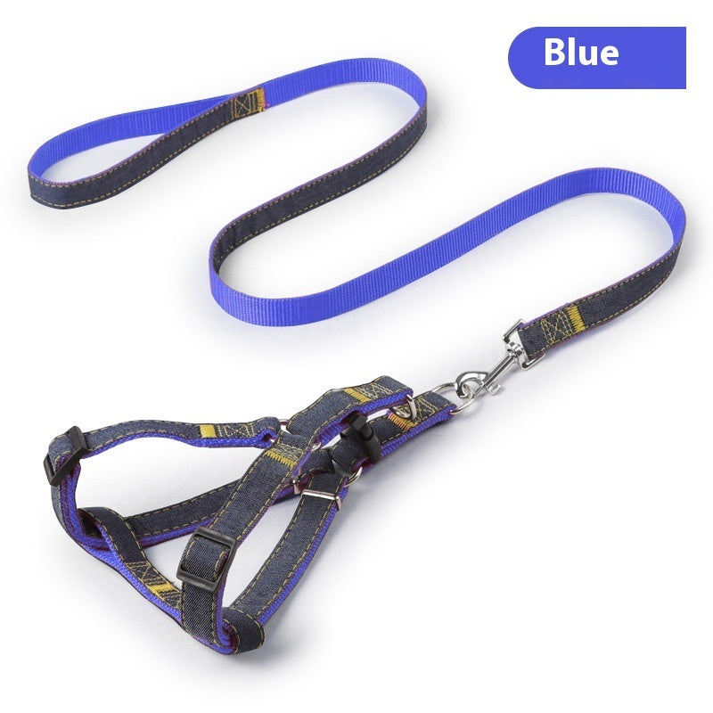 Leash + Collar Combo