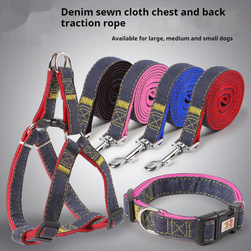 Leash + Collar Combo